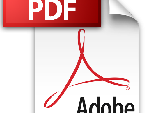 pdf-icon1
