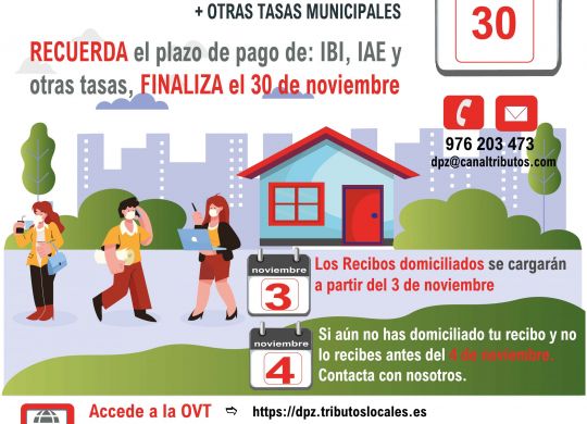 PLAZO PAGO IBI