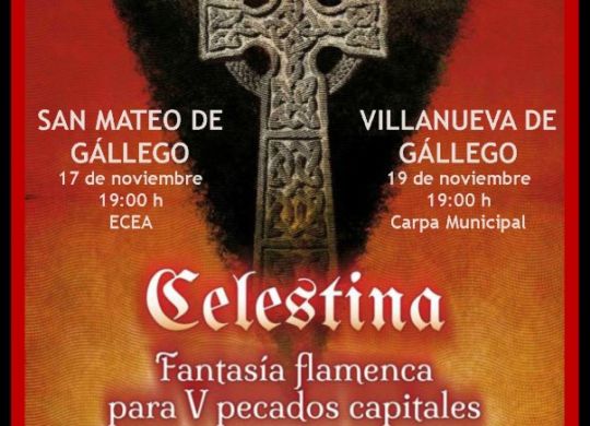 cartel celestina danza comarca