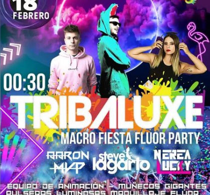 fiesta nocturna carnaval