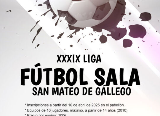 cartel liga futbol sala 2025