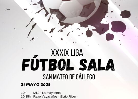 cartel liga futbol sala 2025 con info finales