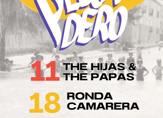 CARTEL SONIDO PLEGADERO