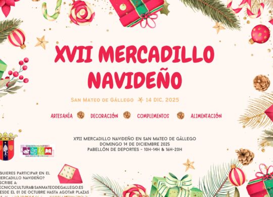 cartel mercadillo 2025.psd