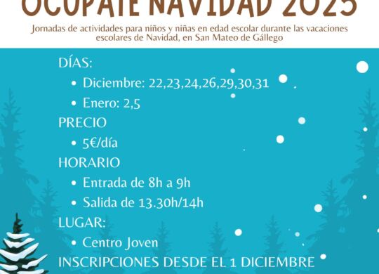 cartel ocupate navidad 2025
