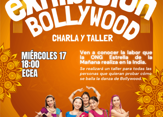 taller espectáculo bollywood