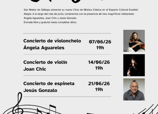 Cartel Póster Ciclo de Música Clásica Minimalista Negro