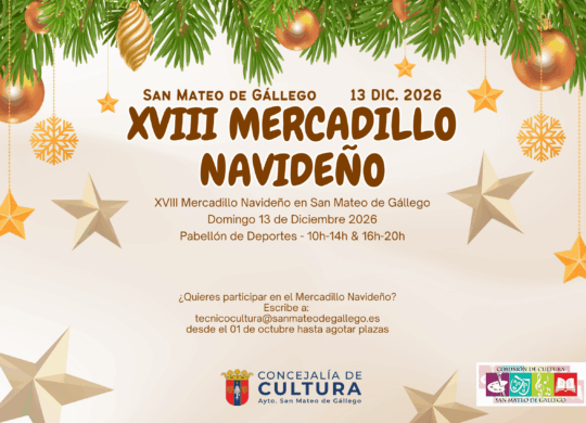 2026 mercadillo