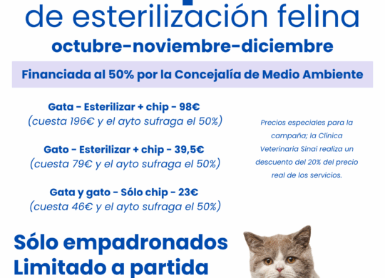 Campaña de estirilización felina