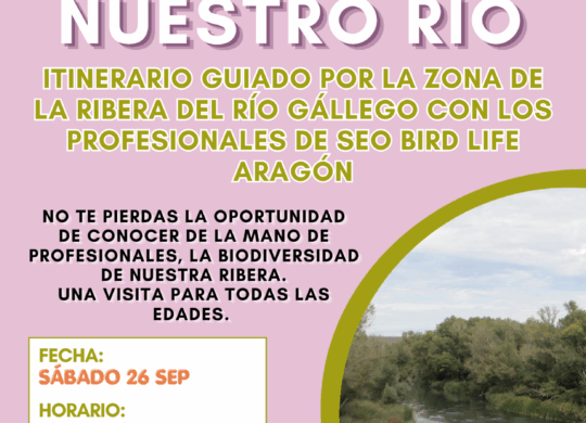VISITA GUIADA SEOBIRD LIFE