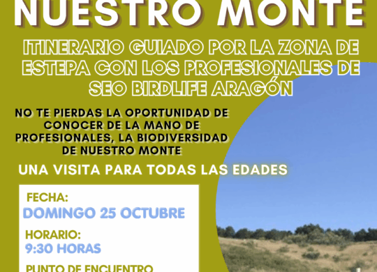 VISITA GUIADA SEOBIRD LIFE (1)